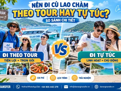 Nên Đi Cù Lao Chàm Theo Tour Hay Tự Túc? So Sánh Chi Tiết