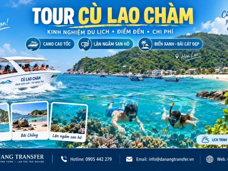Tour Cù Lao Chàm – kinh nghiệm du lịch, điểm đến, chi phí và lặn ngắm san hô